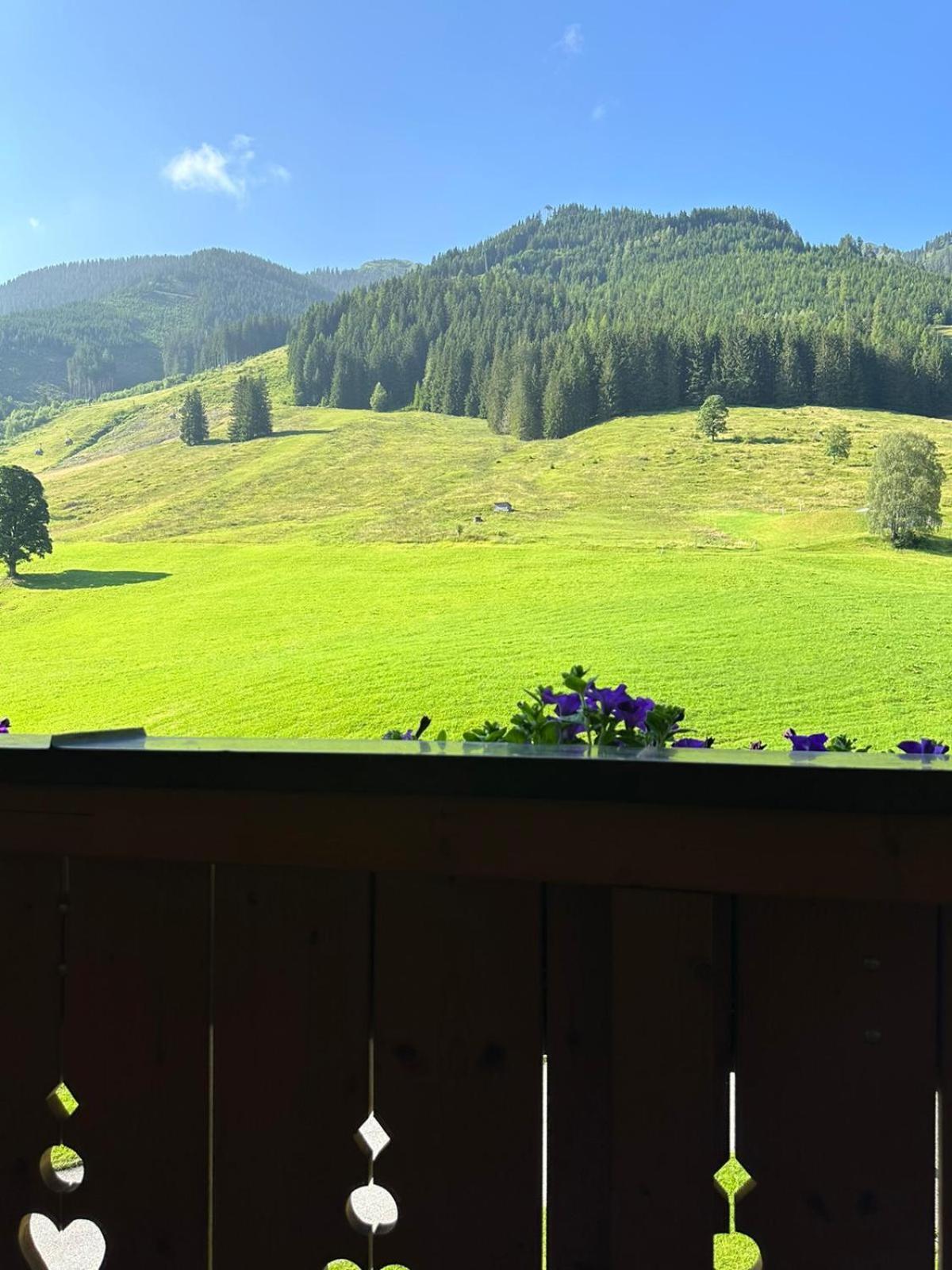 Sportpension Enzian Gasthof Saalbach